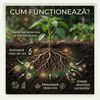 Stimul - Hrana Pamantului - Biostimulator vegetal microbian pentru sol