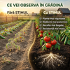 Stimul - Hrana Pamantului - Biostimulator vegetal microbian pentru sol