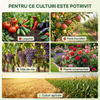 Stimul - Hrana Pamantului - Biostimulator vegetal microbian pentru sol