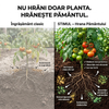 Stimul - Hrana Pamantului - Biostimulator vegetal microbian pentru sol